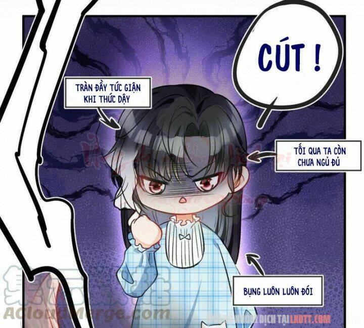 tôi trở thành tổ tông của 5 vị đại lão chapter 8 6