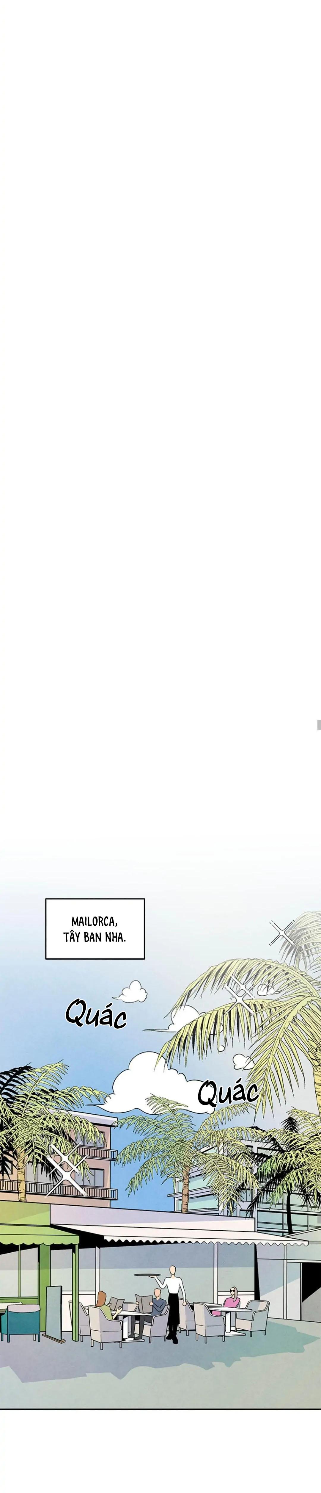 bona sort chapter 33 19