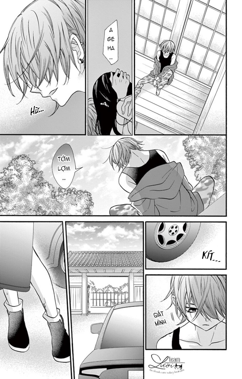 chàng rể giả nhân giả nghĩa chapter 17 12