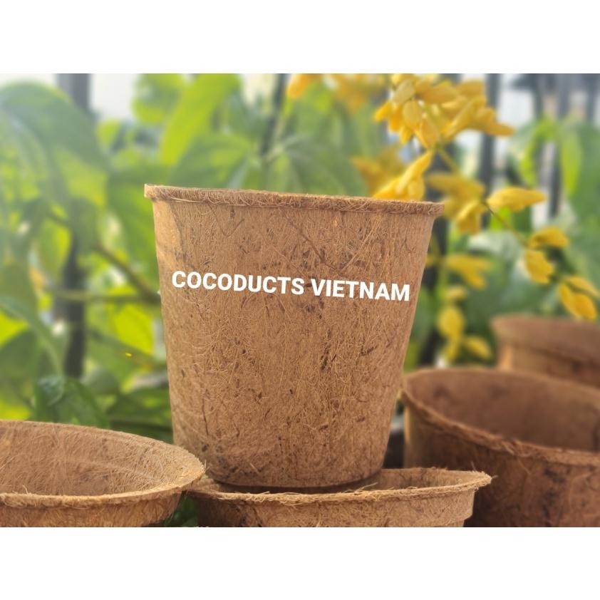 Chậu xơ dừa ép nhiệt Coir Pot