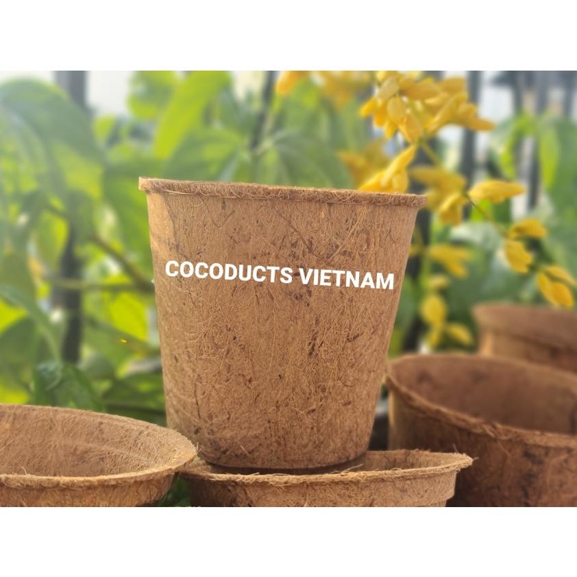 Chậu xơ dừa ép nhiệt Coir Pot (Chậu kiểng lá)