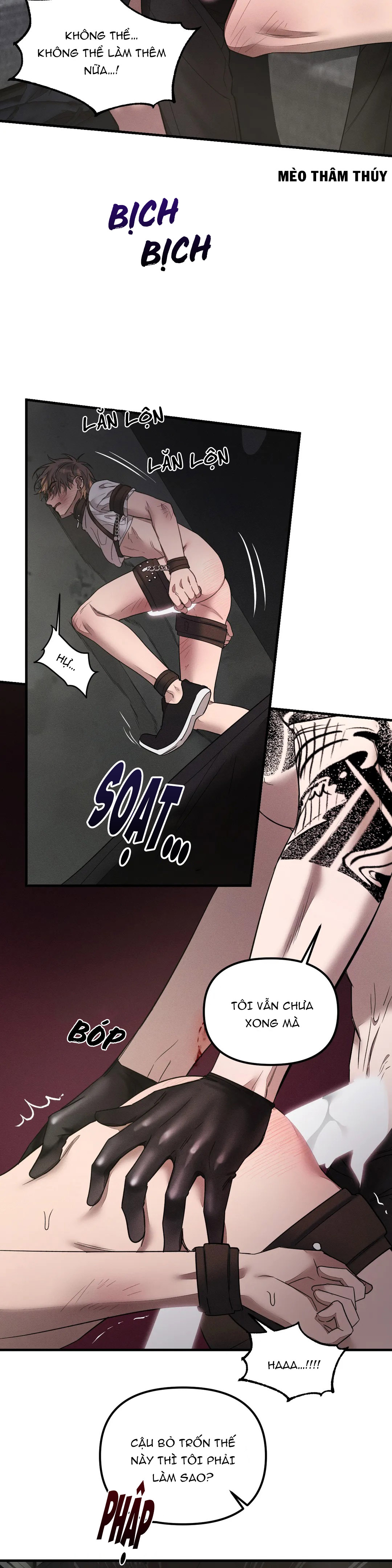 huấn luyện thú cưng chapter 3 37