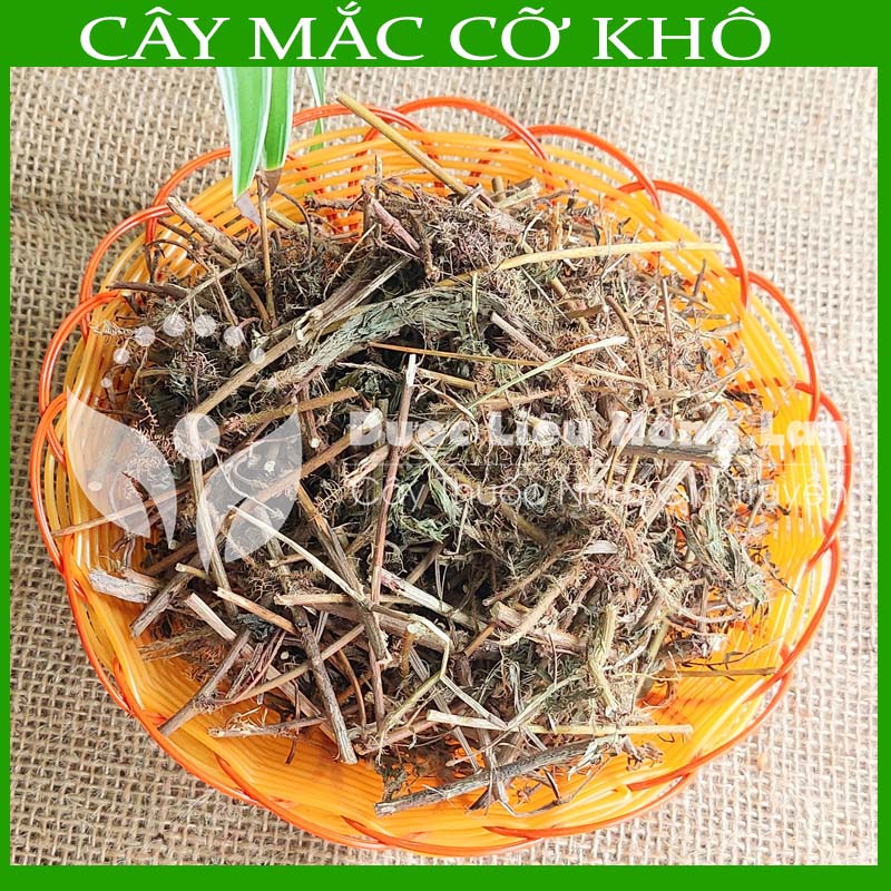 Cây Mắc Cỡ (Xấu Hổ) khô 1kg