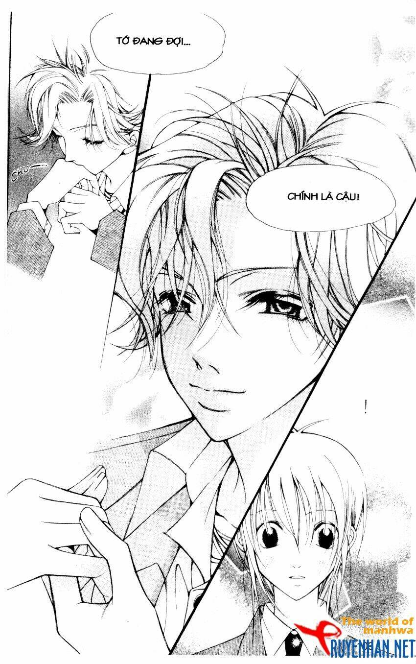 ngọc trong đá-ace chapter 15 5