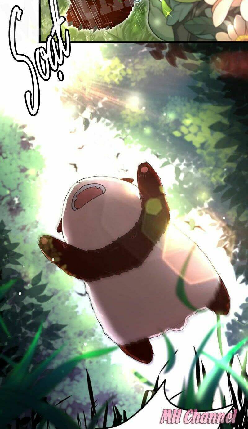 thiên thần gấu trúc muốn được ôm chapter 3 5