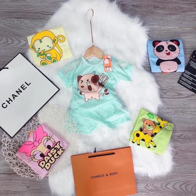 Bộ cotton giấy hình cho bé