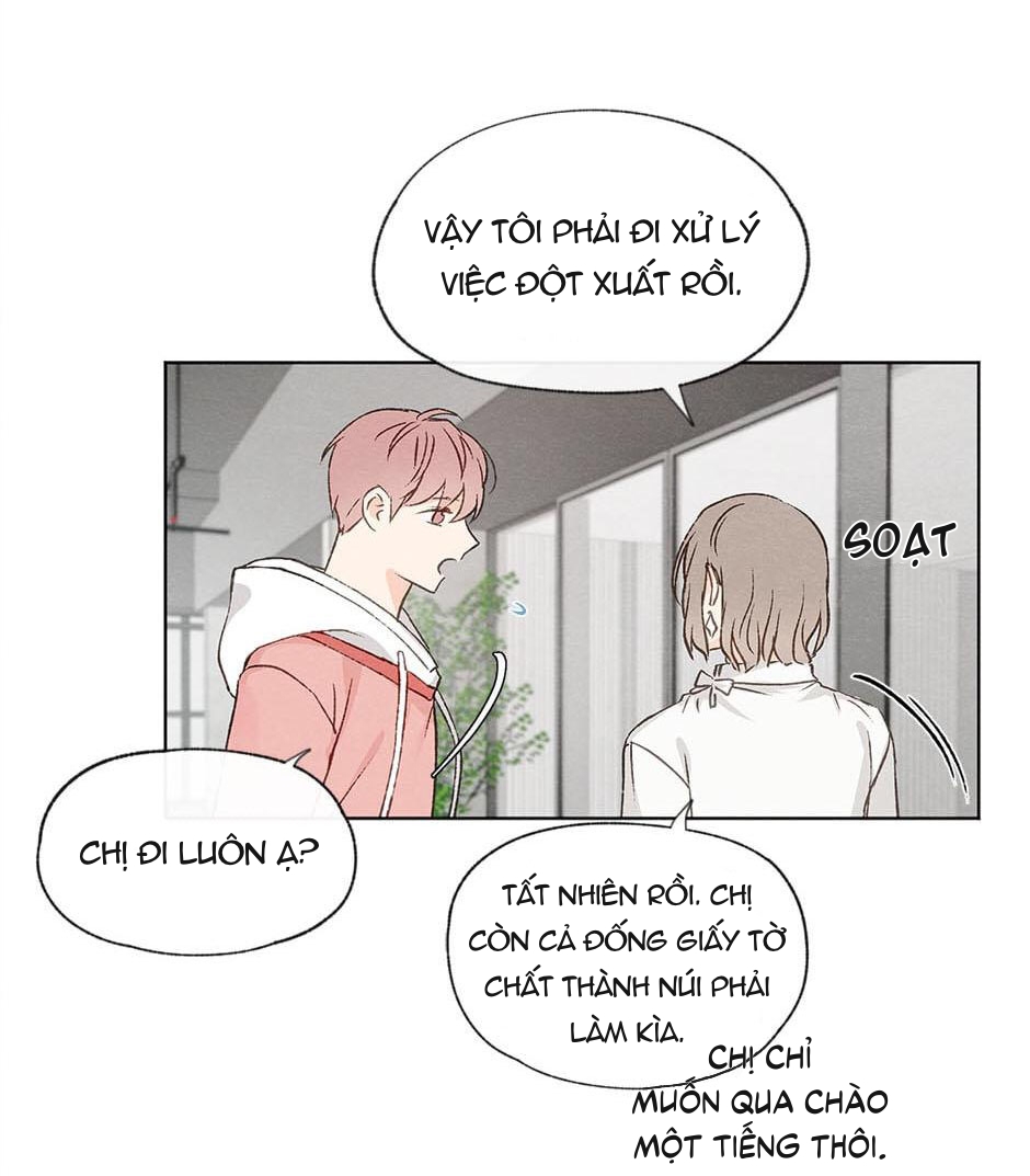 yêu hay không yêu chapter 10 13