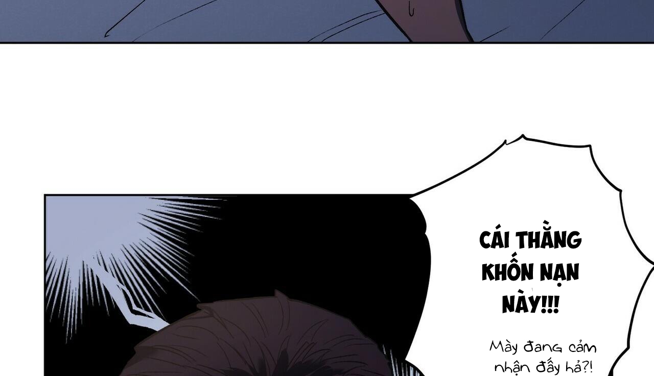 chàng dâu nhà họ kang chapter 22 113