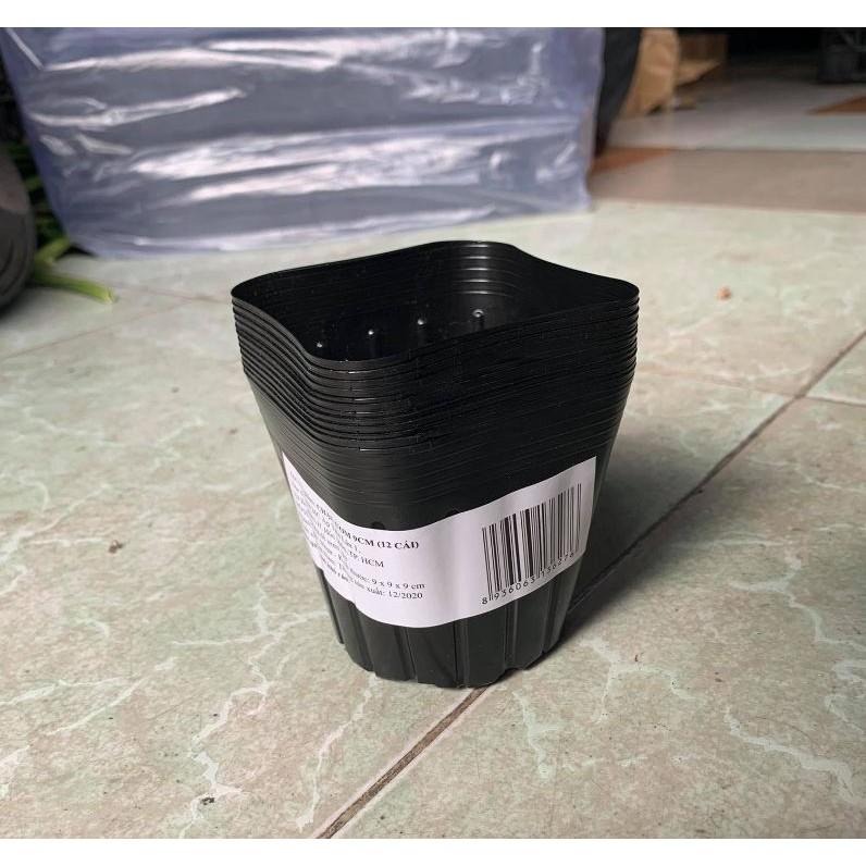 10 Chậu to ươm cây - màu đen -
