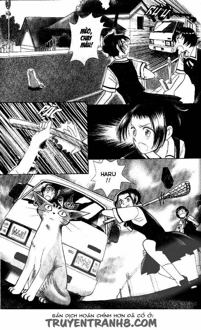 mimi wo sumaseba - lời thì thầm từ trái tim chapter 6 11