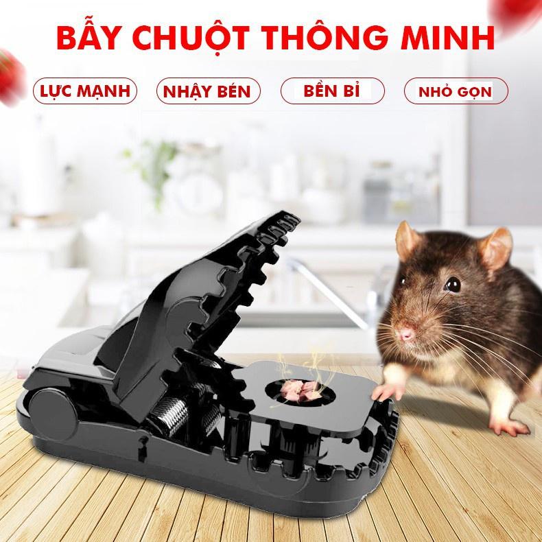 Bẫy chuột thông minh cho mọi nhà