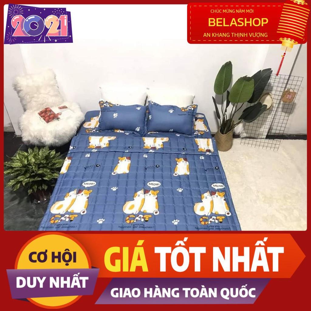 Chăn hè trần bông 3 lớp,mền trần bông hè thu,chát chọn mẫu,mèo xanh mới