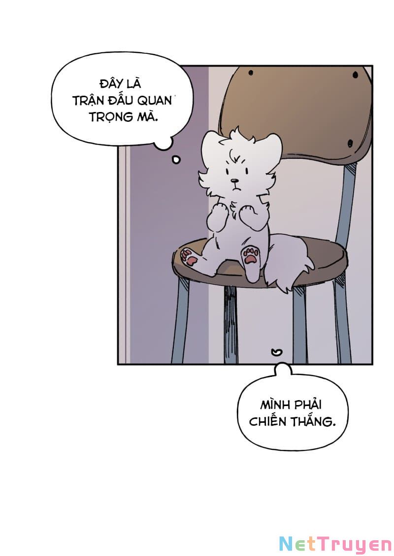 lumine - cội nguồn ánh sáng chapter 113 12