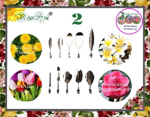 COMBO 2 BỘ Dụng cụ kim làm rau câu 3D 10 kim Ngọc Huệ