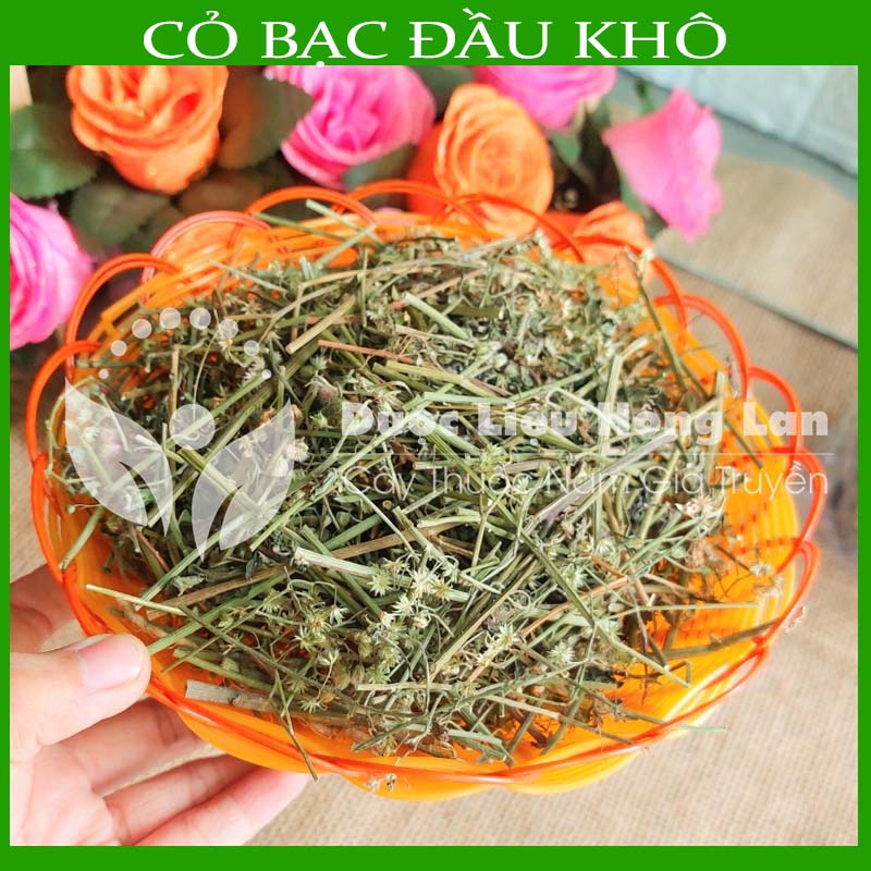 Cây Cỏ Bạc Đầu khô sạch gói 1KG