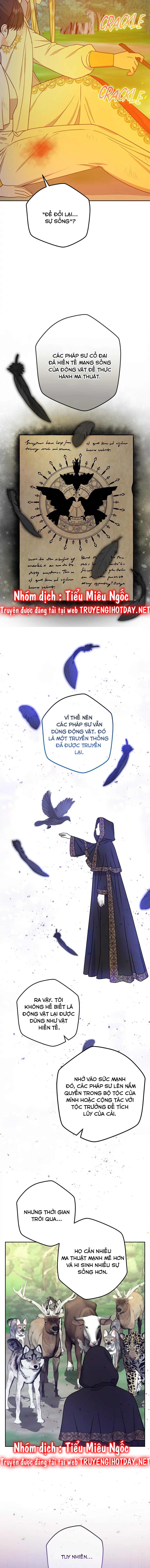 từ hầu gái tôi đã trở thành hoàng hậu chapter 56 13