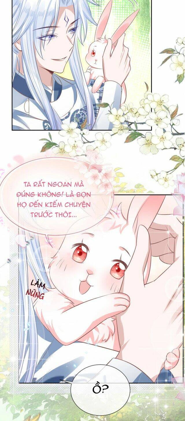 hắc hóa nam chính trực tuyến nuôi thỏ chapter 13 20