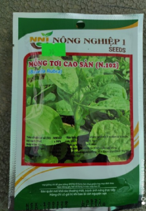 Hạt rau mồng tơi cao sản