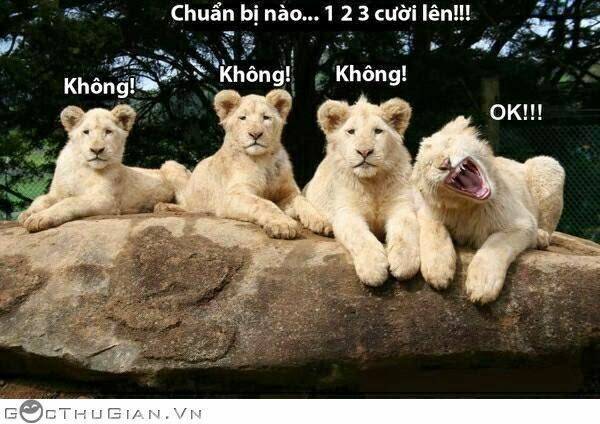 hình ảnh hài hước new chapter 27 34