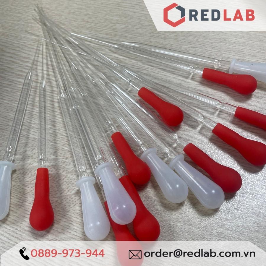 Combo Pipet Paster Thủy Tinh 15cm và Quả bóp Cao su / Silicon