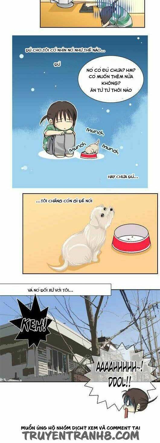 pet diary chapter 17.2 3