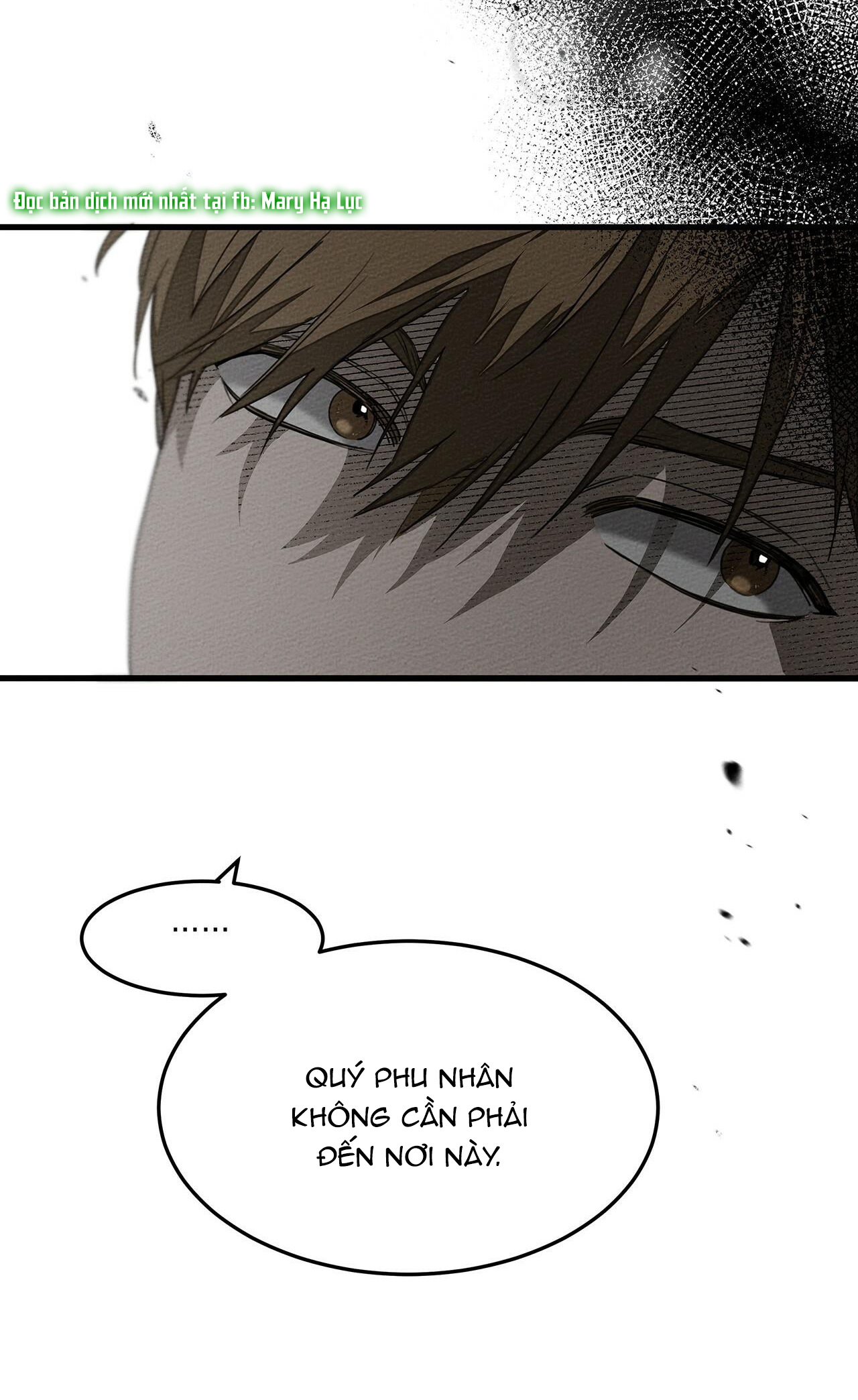 Dưới Bóng Cây Sồi chapter 39 96