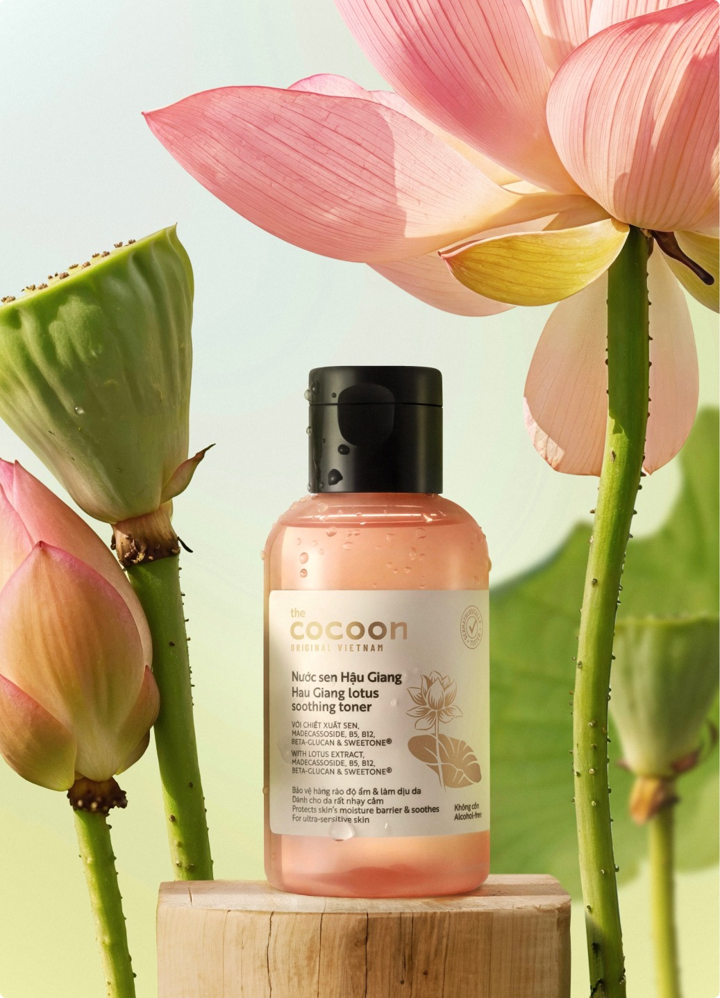 Toner nước cân bằng da SEN Hậu Giang cocoon 310ml Thuần Chay