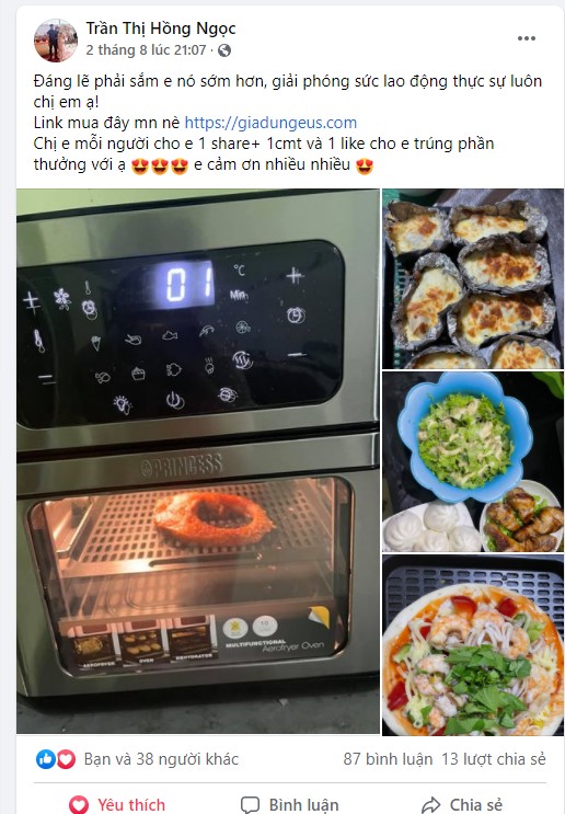 Lò Chiên Không dầu Princess 182065 Aerofryer Oven Volume – 10L- Hàng Chính Hãng