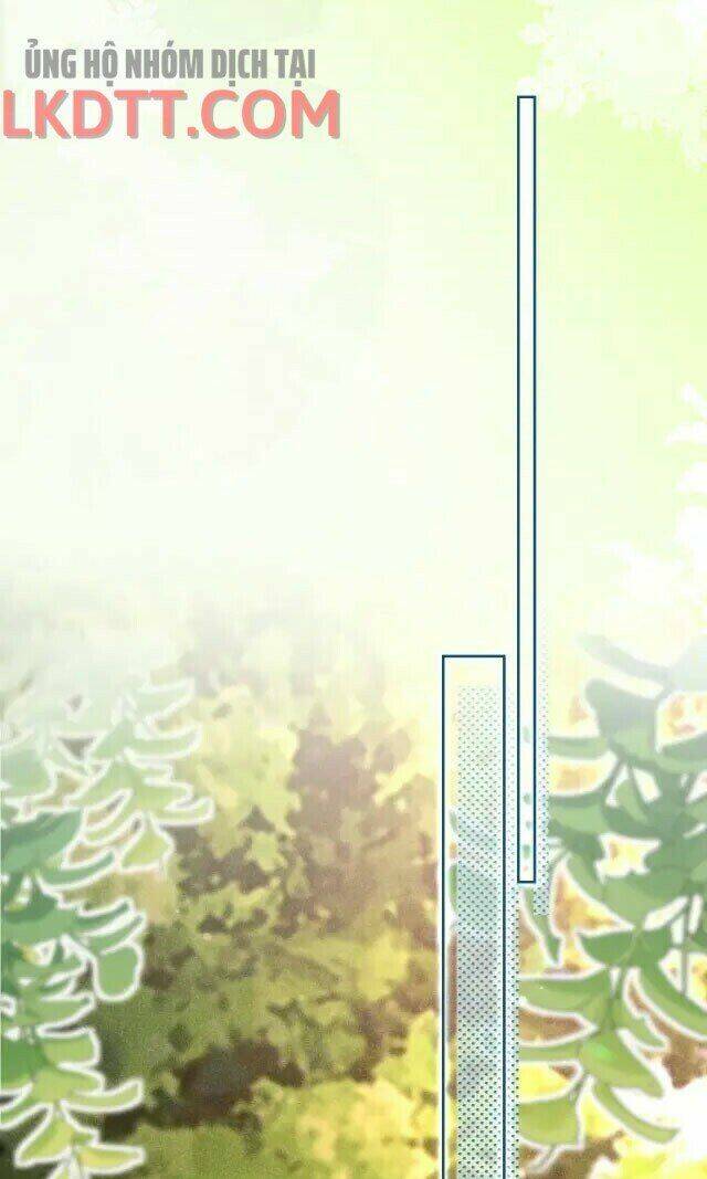 hắc hóa nam chính trực tuyến nuôi thỏ chapter 25 29