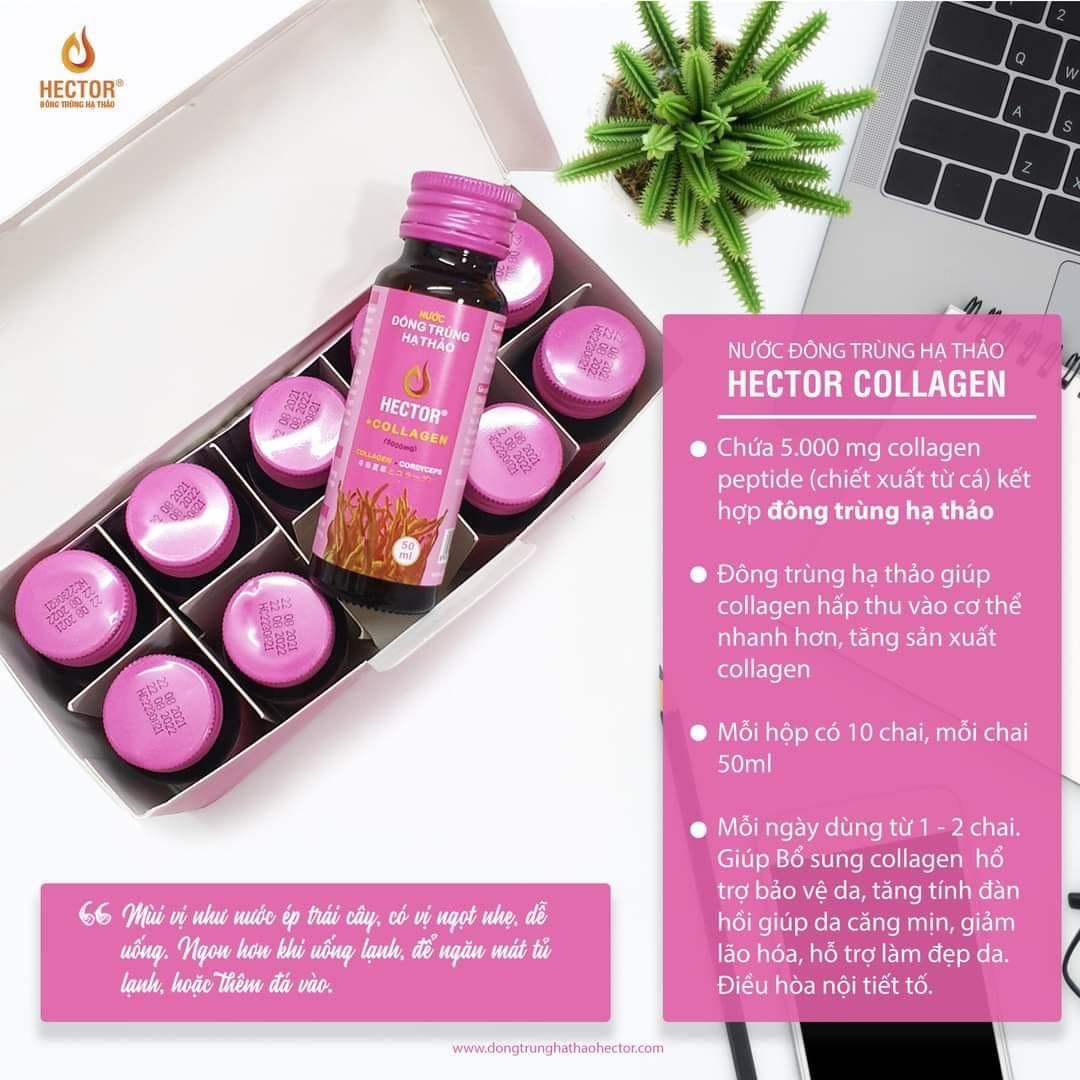 Nước Đông Trùng Hạ Thảo Hector Collagen  - Hàng chính hãng