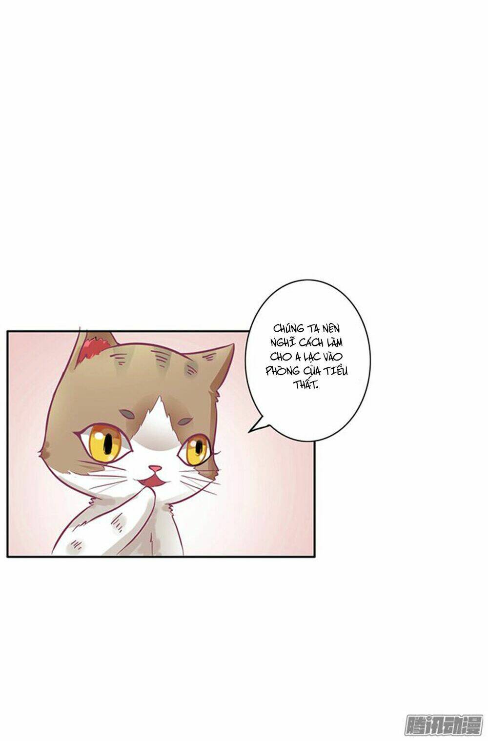 hai chú mèo totem chapter 6 10