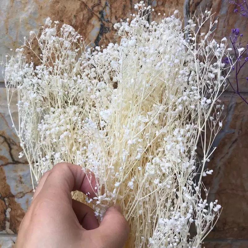 Hoa Khô - Bó 100g Hoa Baby Bloom Tuyệt Đẹp Phong Cách Vintage Trang Trí Nhà Cửa, Làm Hoa Cưới