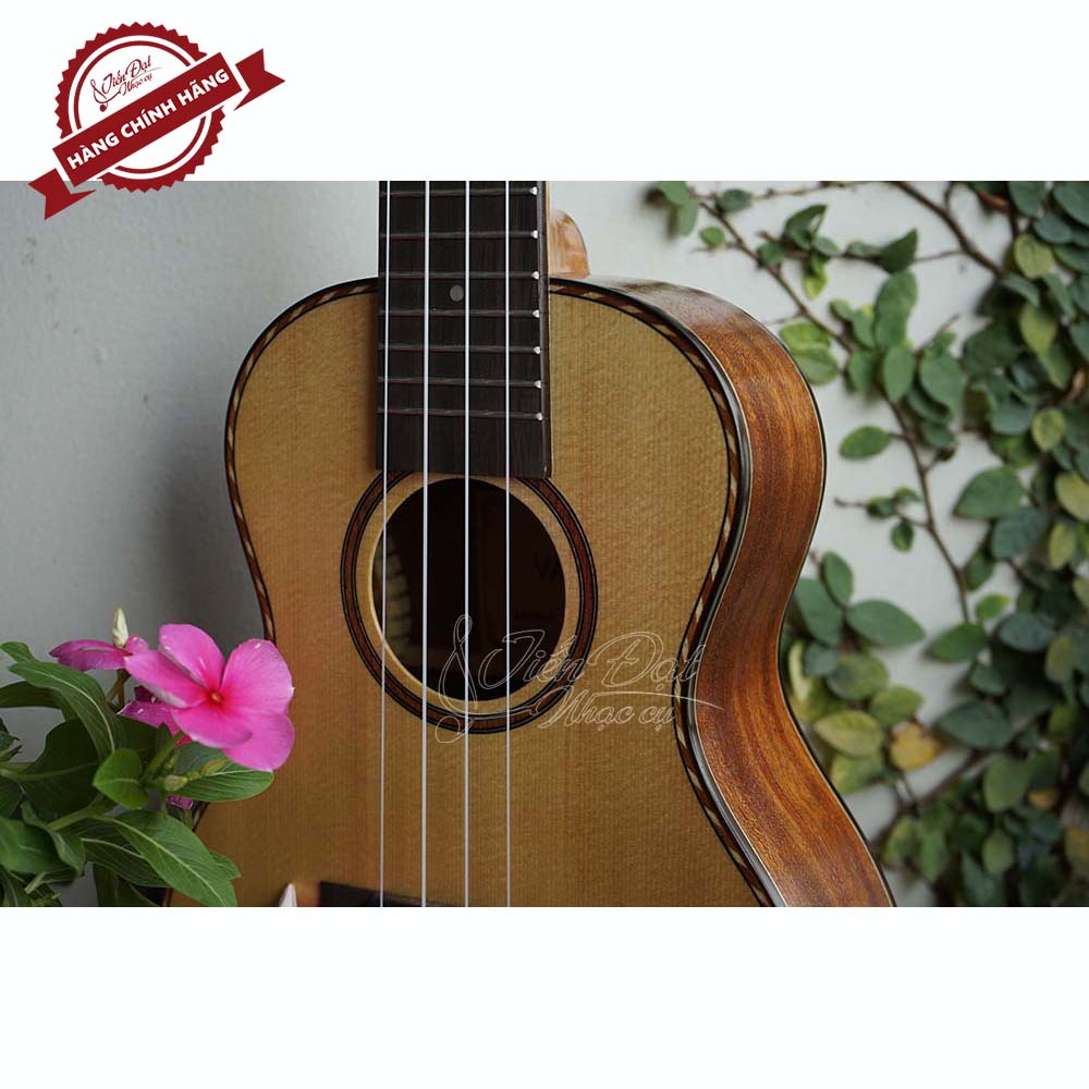 Đàn Ukulele Valote Dòng Concert VA 24M01, 24M02, 24R01 Cao Cấp Tông Nhạc Dày Âm Thanh Trong Trẻo