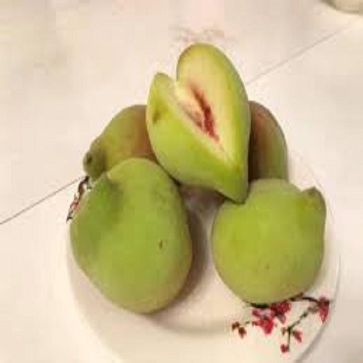 CÂY GIỐNG ĂN QUẢ CÂY ĐÀO MỎ QUẠ