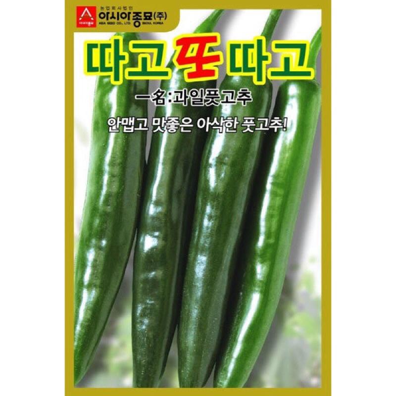 Hạt giống ớt dưa chuột Hàn Quốc F1