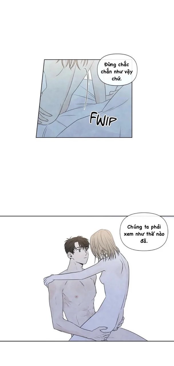 summer solstice point chapter 19 47