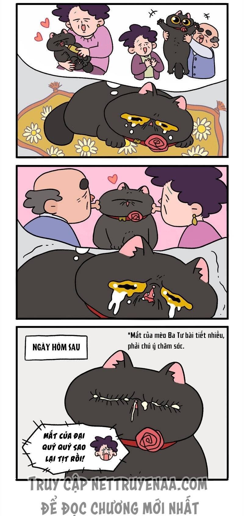 a mãn và mạch trà chapter 16.1 2