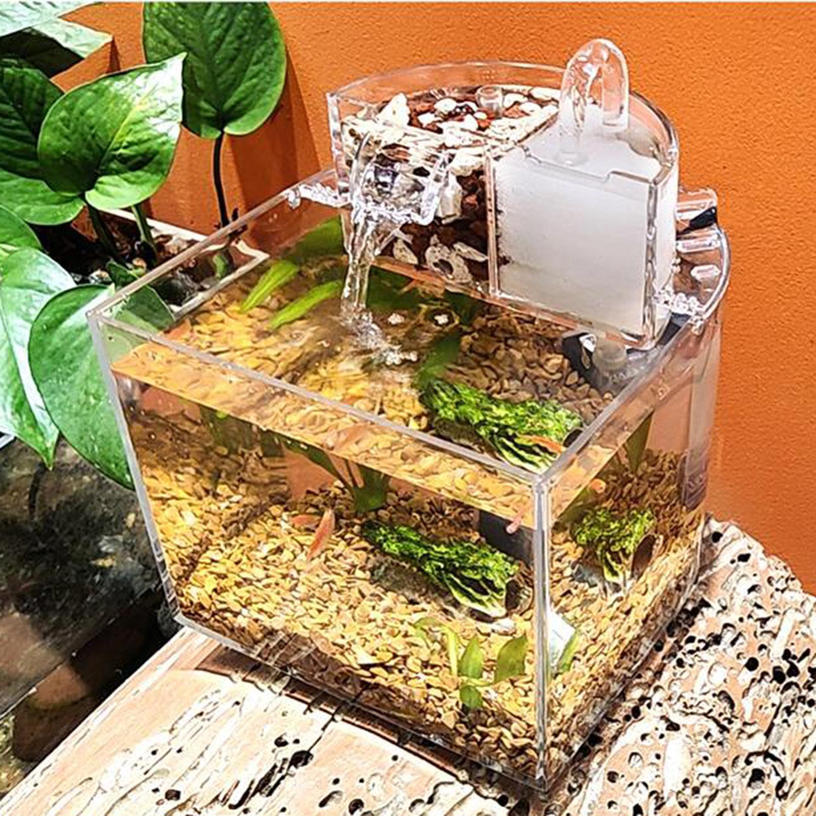 Desktop Aquarium with Water Filtration Quiet Air Pump