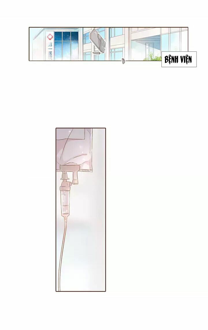 Tình yêu là màu hoa anh thảo chapter 30.2 47