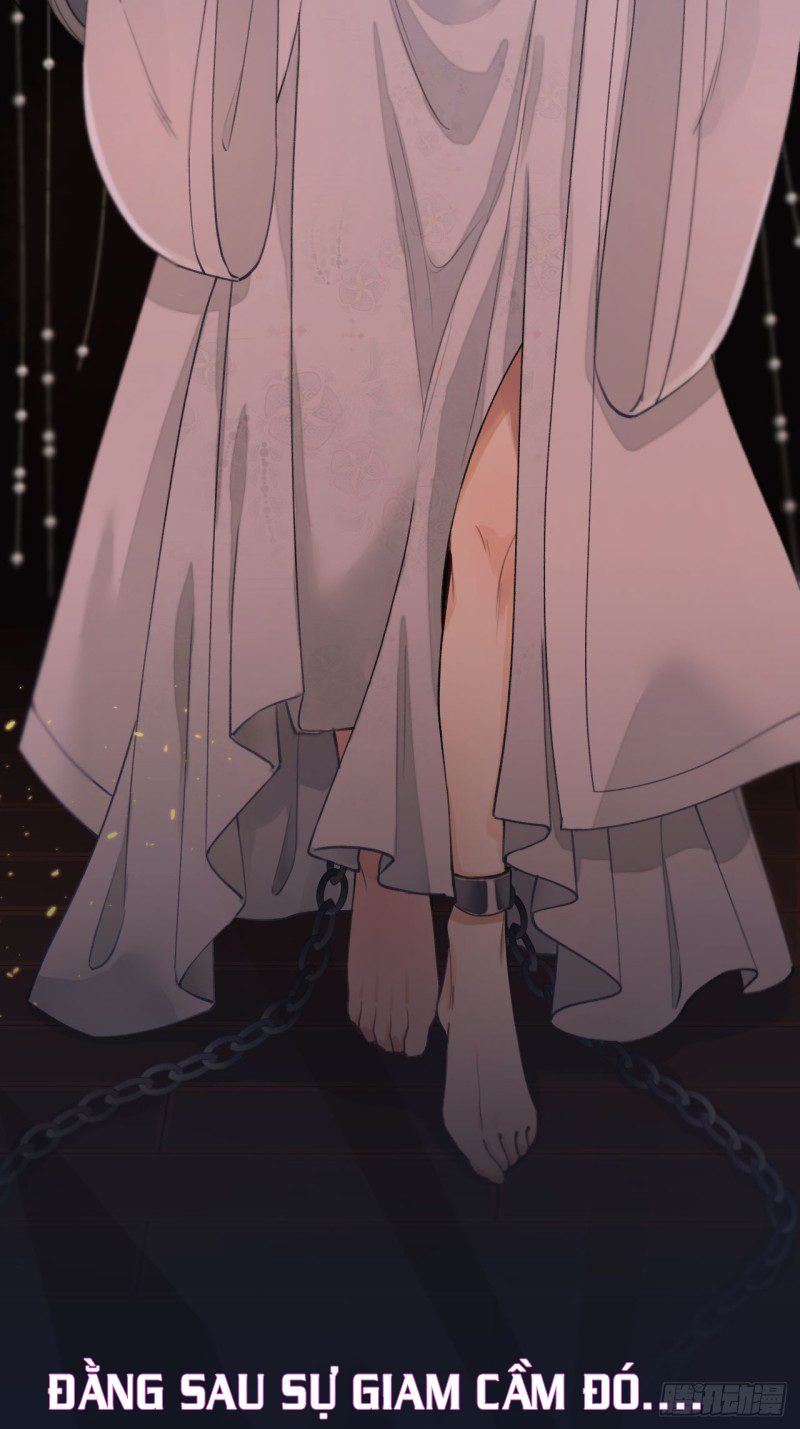 lễ băng nhạc hoại chi dạ chapter 0 16