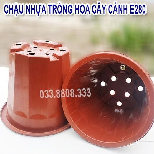 10 Chậu Nhựa Nâu Trồng Cây E260 - Chậu Bền Đẹp