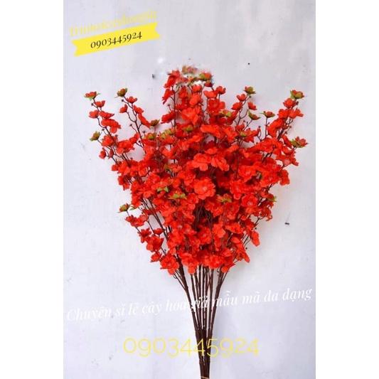 Hoa anh đào hàng có sẵn - Hoa Giả