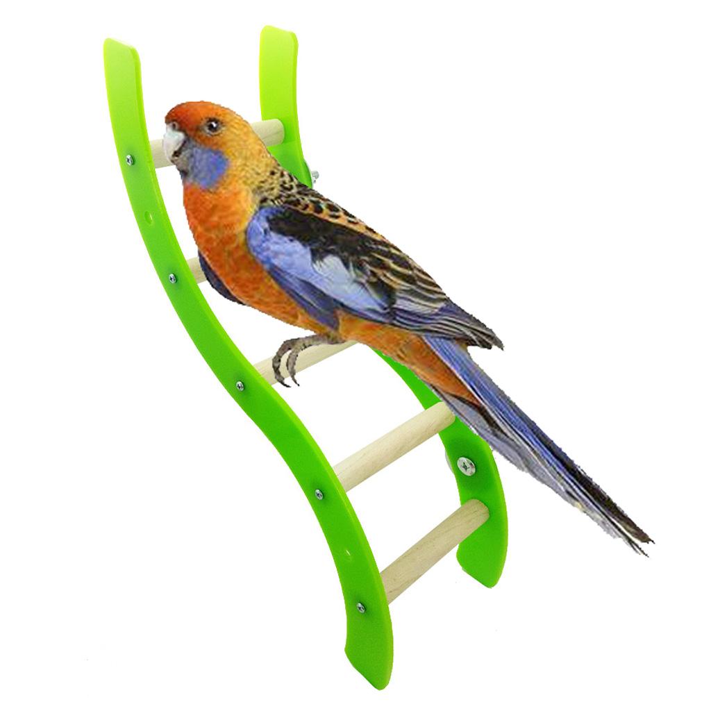 Wooden Bird Ladder, Bird Toy For Parrot Swings Ladders For Pet Trainning