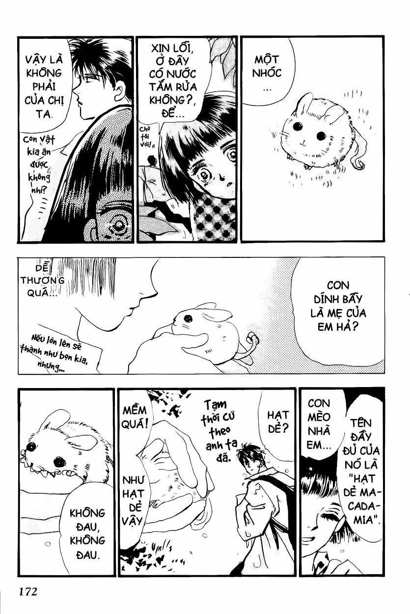 7 mầm sống chapter 4 37