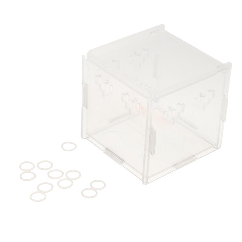 Acrylic Box Crawler Spider Scorpion Centipede Insect Feeding Insect Box - XS