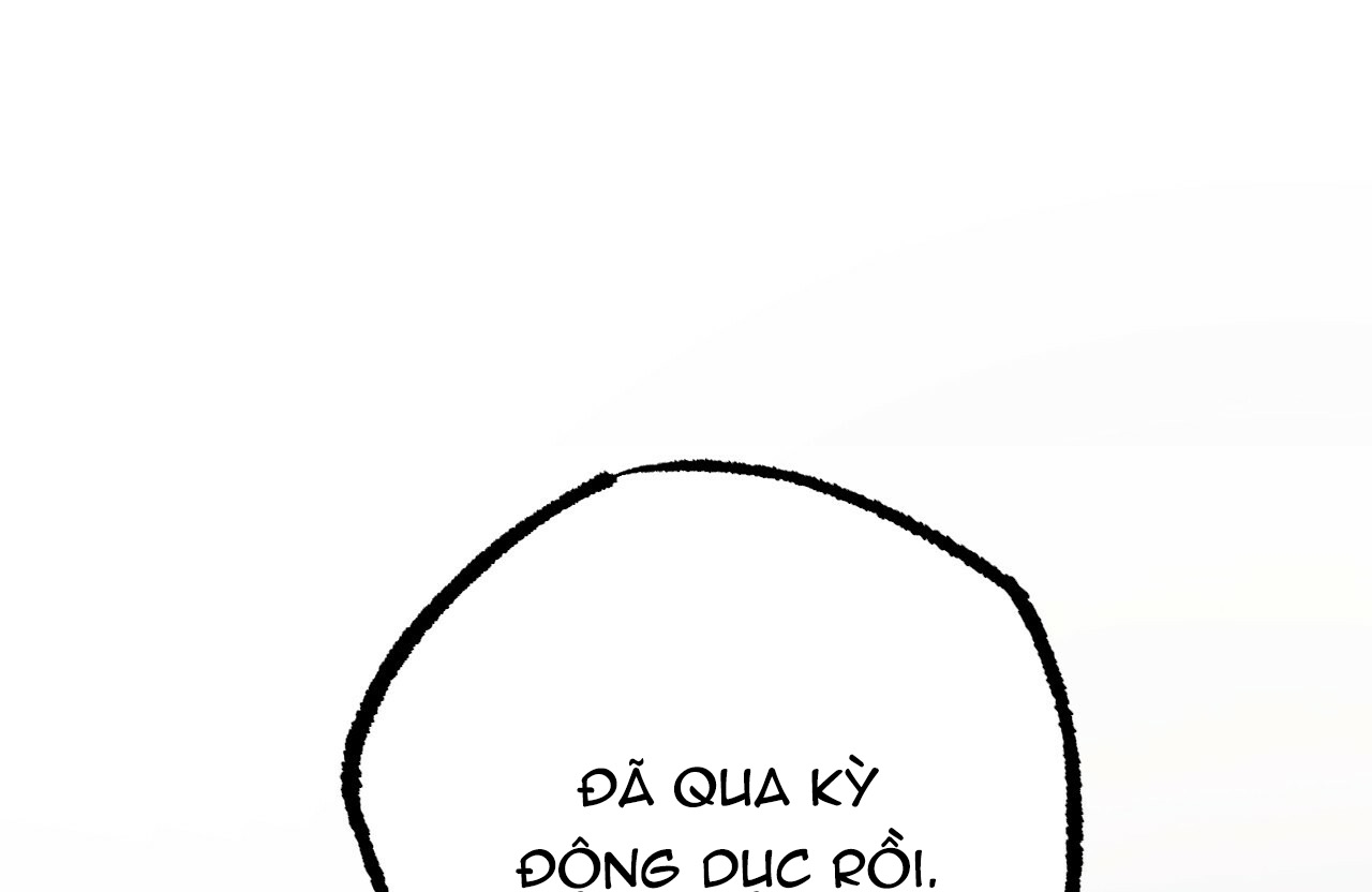 đàn thỏ của habibi chapter 19 2