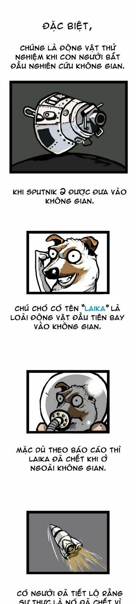 earth, human, and animal chapter 15 22