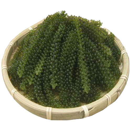 Rong Nho Tách Nước Trí Tín - Túi 80g - sản xuất theo công nghệ Nhật Bản