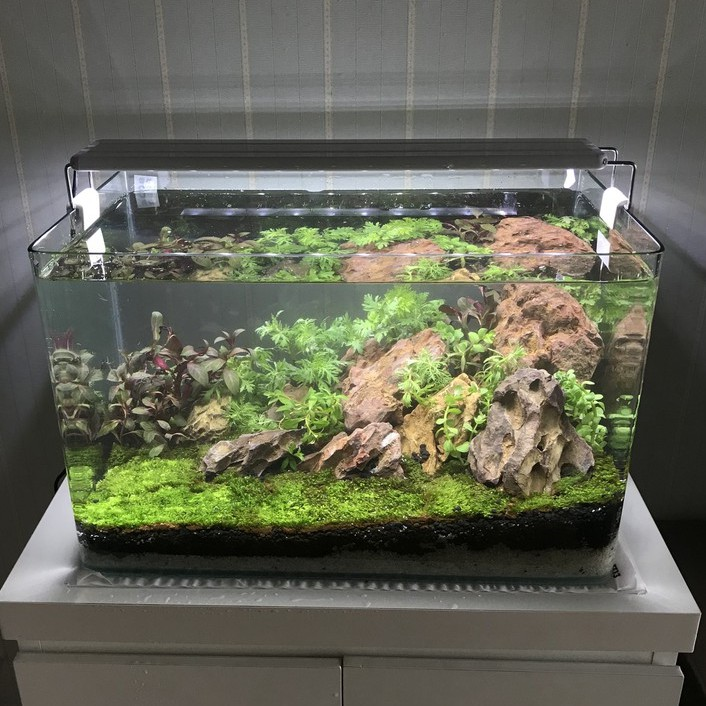 Bể cá mini để bàn combo Hồ 30x13x15cm
