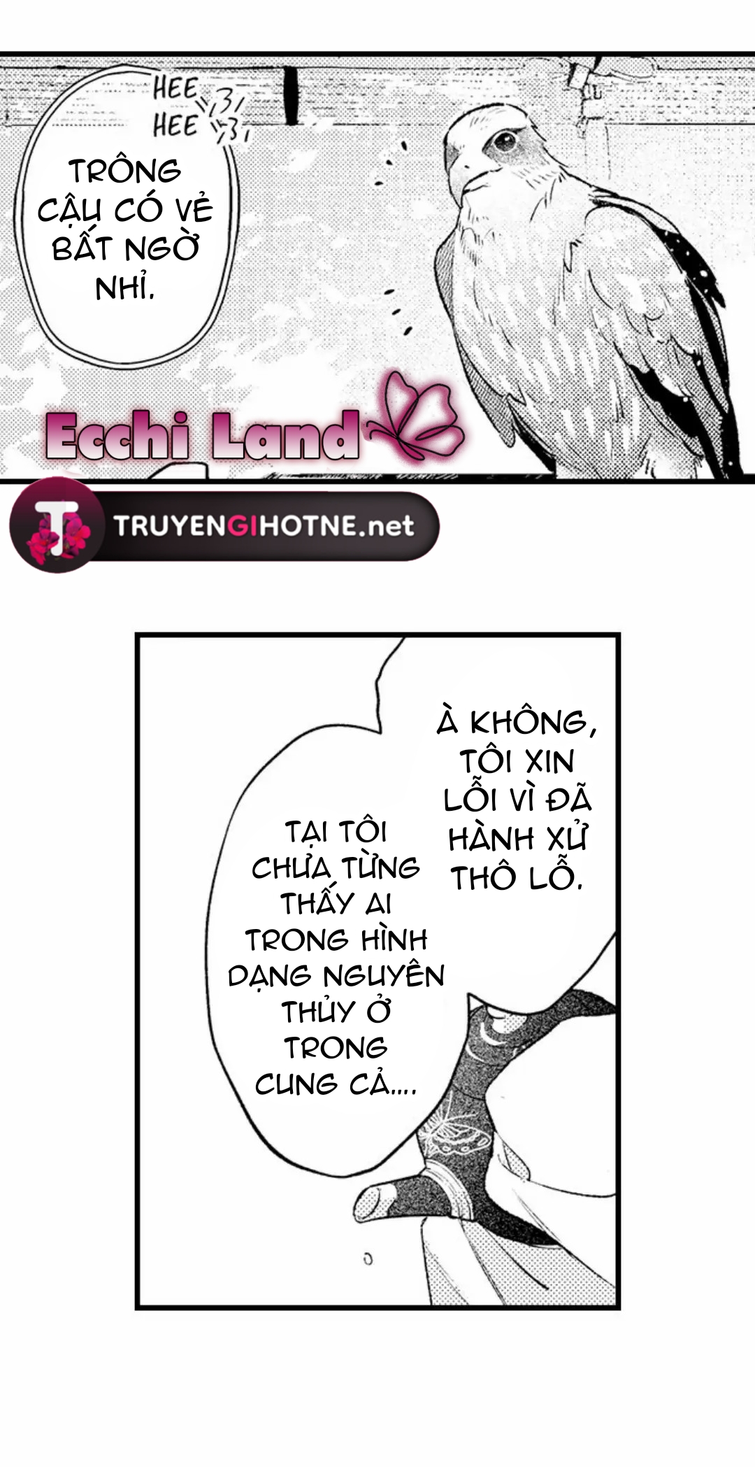 điểu thượng minh hoa chapter 11.2 8